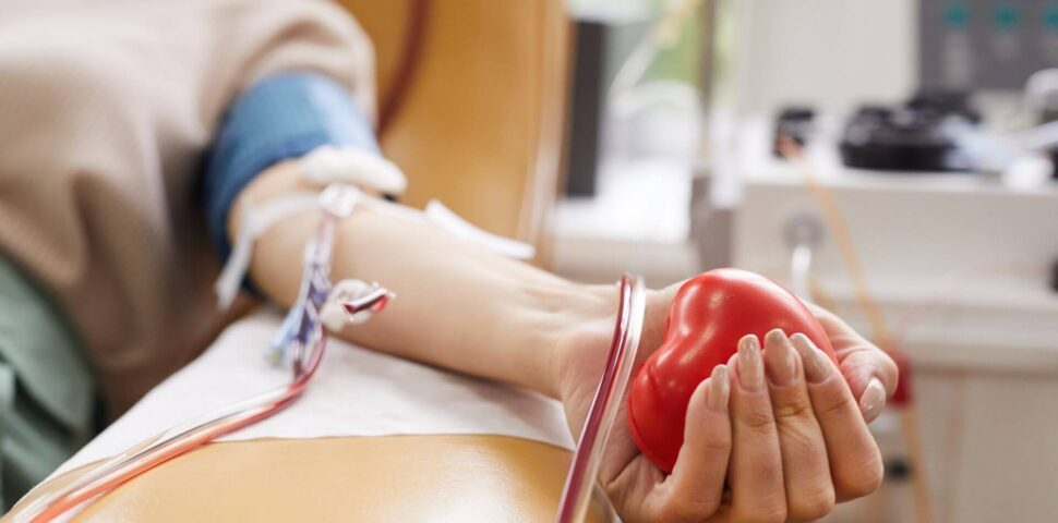 Qual a importância da doação de sangue?