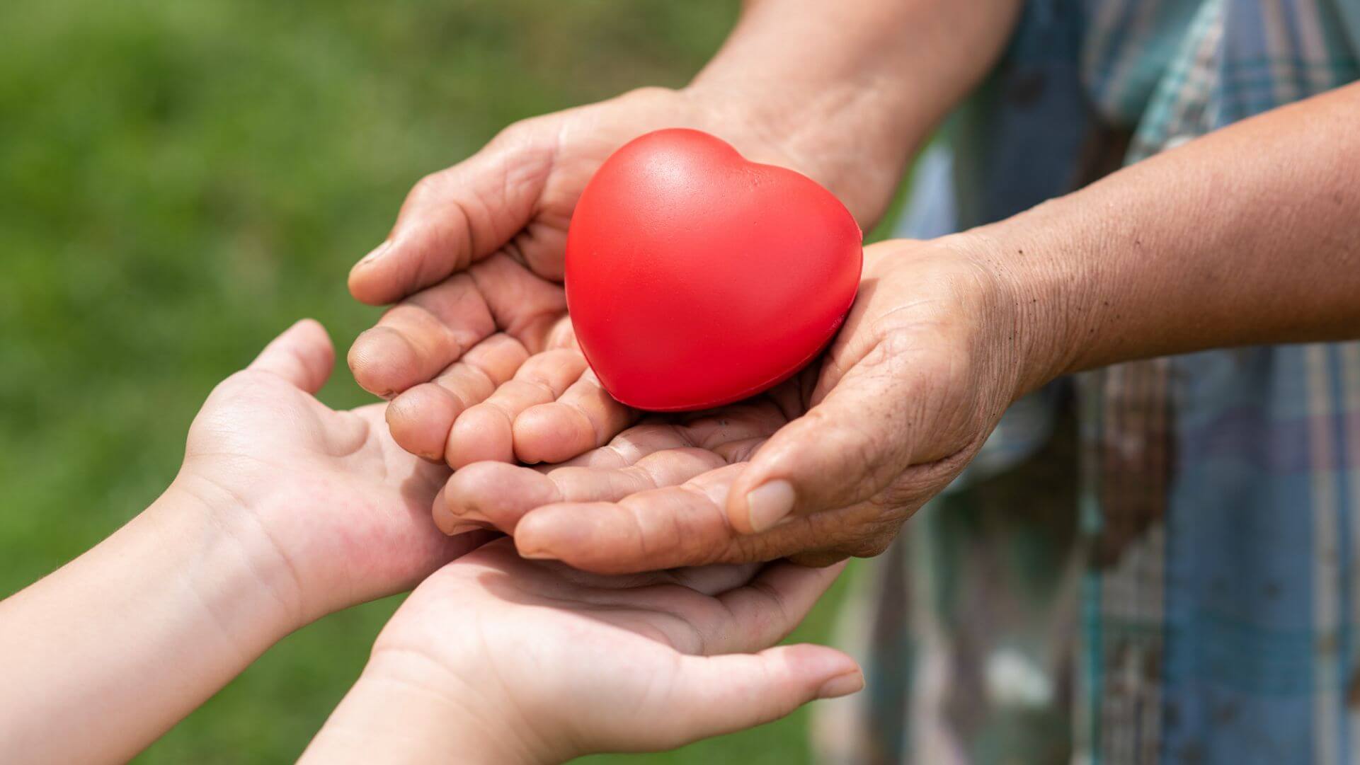 Diferença entre família e parentes  Compare a diferença entre termos  semelhantes - Vida - 2023