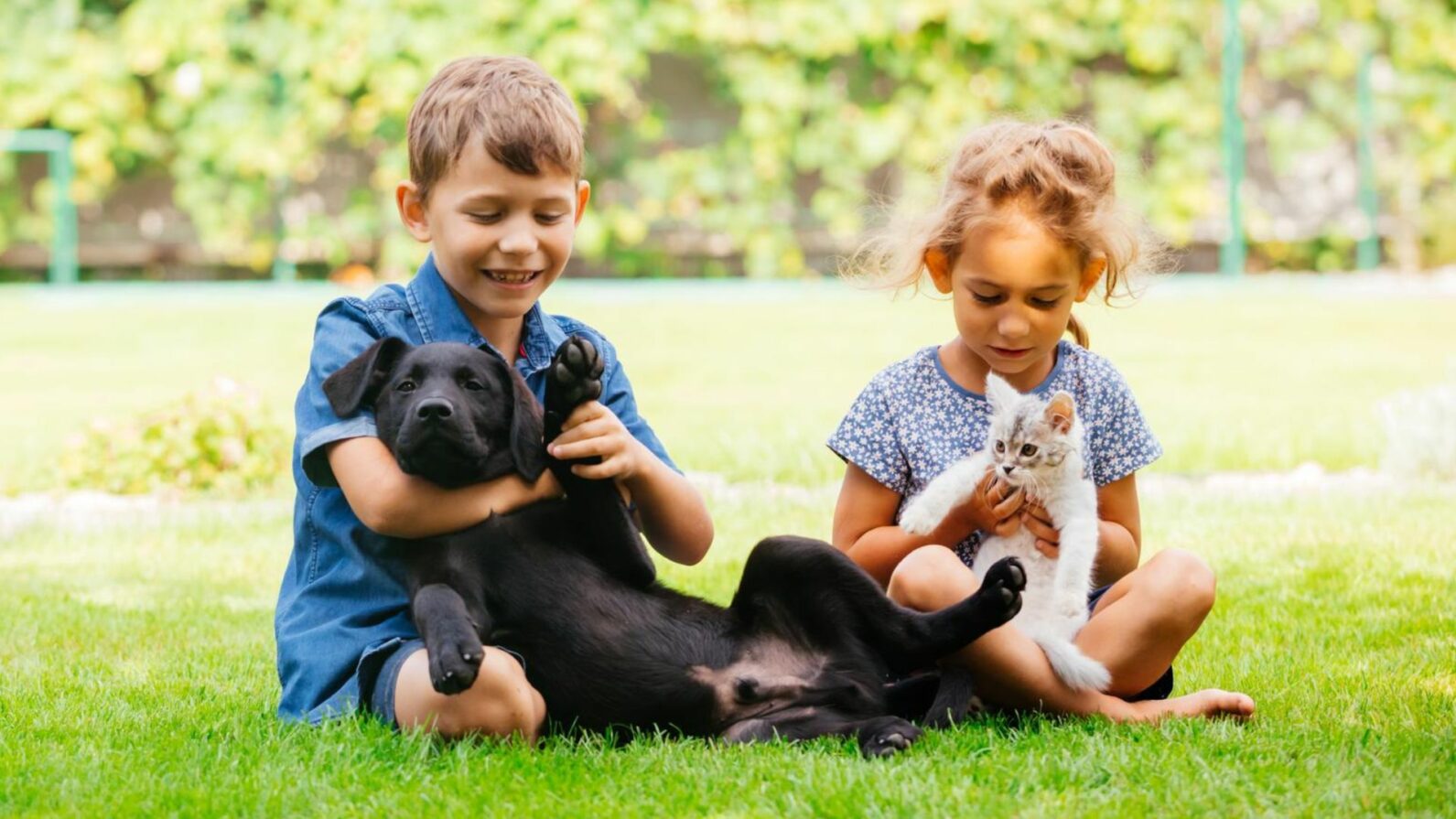 Como um animal de estimação pode ajudar na saúde humana?