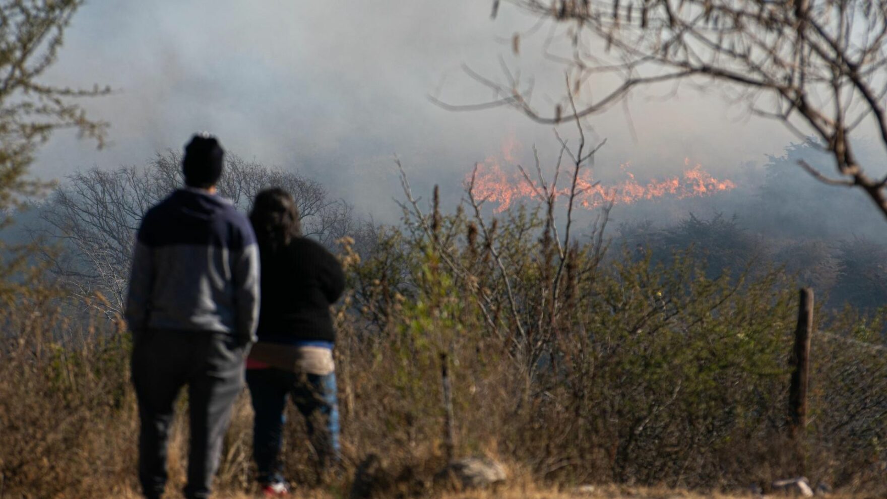 Quais os impactos da poluição do ar na saúde respiratória?