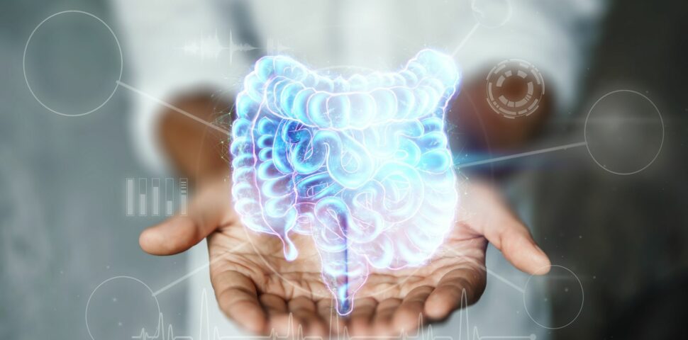 Painel para infecções gastrointestinais