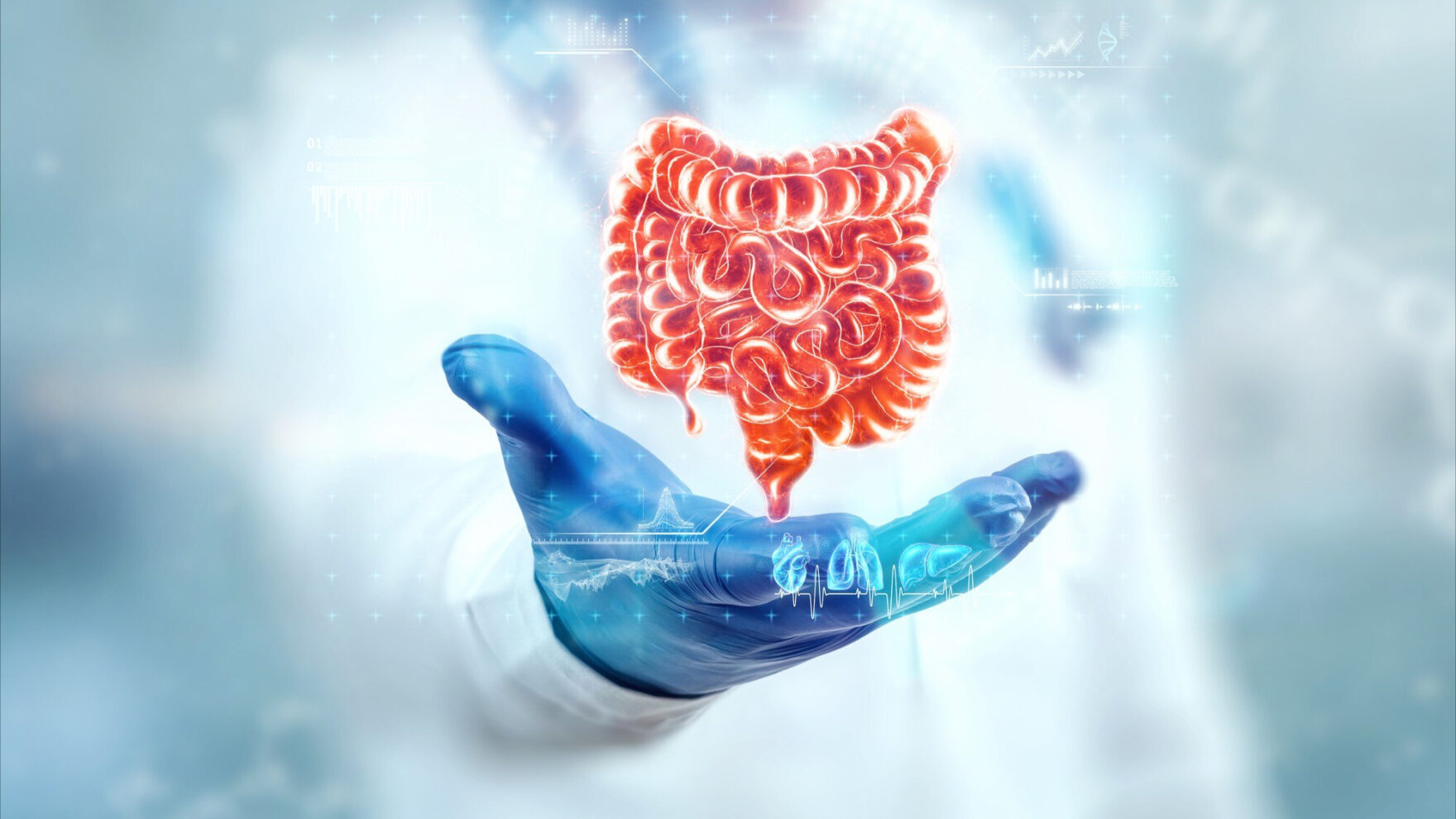 Atualizações e implicações clínicas sobre o microbioma intestinal