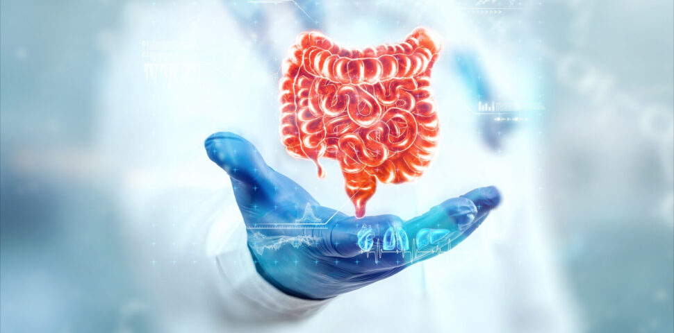 Atualizações sobre o microbioma intestinal